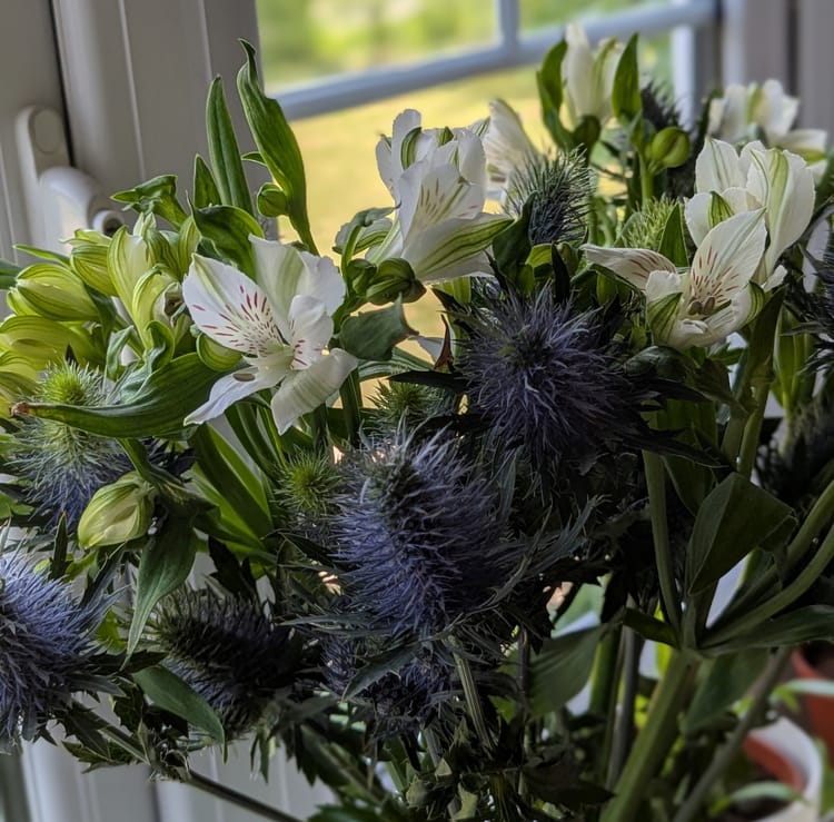 What is chemo like? Mental effects