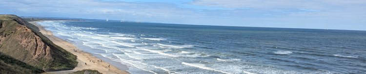 Consultancy services