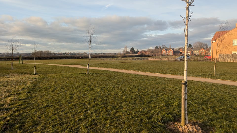 Emerging, and mortality