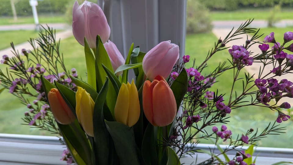 What is chemo like? Physical effects